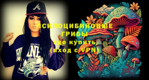 МДПВ Белокуриха