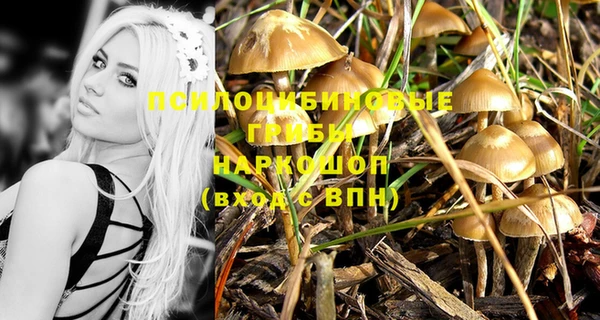первитин Беломорск