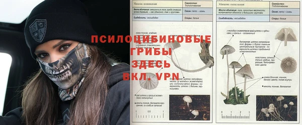 первитин Беломорск
