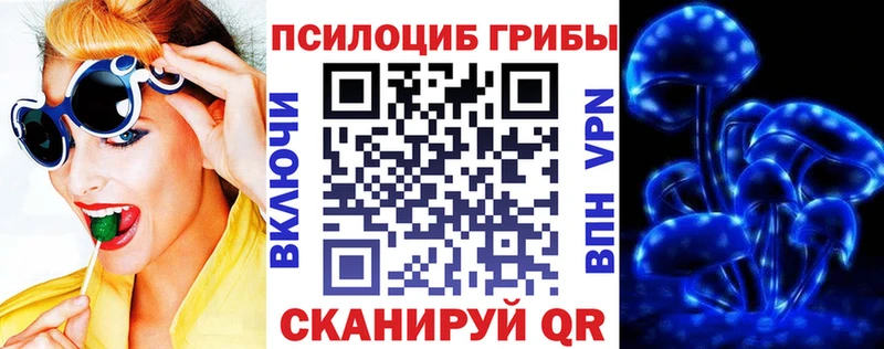 закладка Гай Галлюциногенные грибы GOLDEN TEACHER