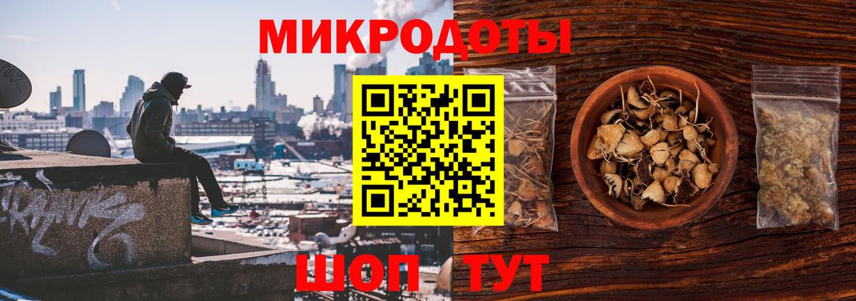 Псилоцибиновые грибы Magic Shrooms Гай